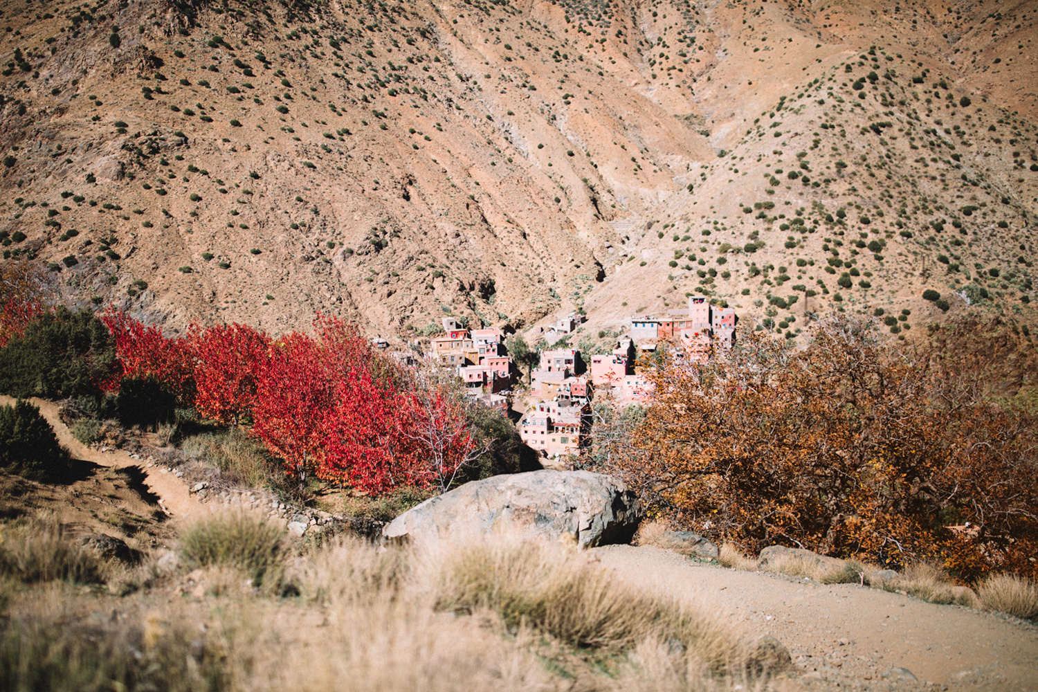 berber-village